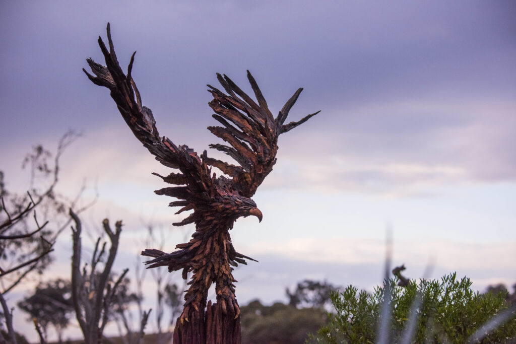 Emily the Wedge Tailed Eagle by Chris Anderson Eucalyptus drop wood sculpture